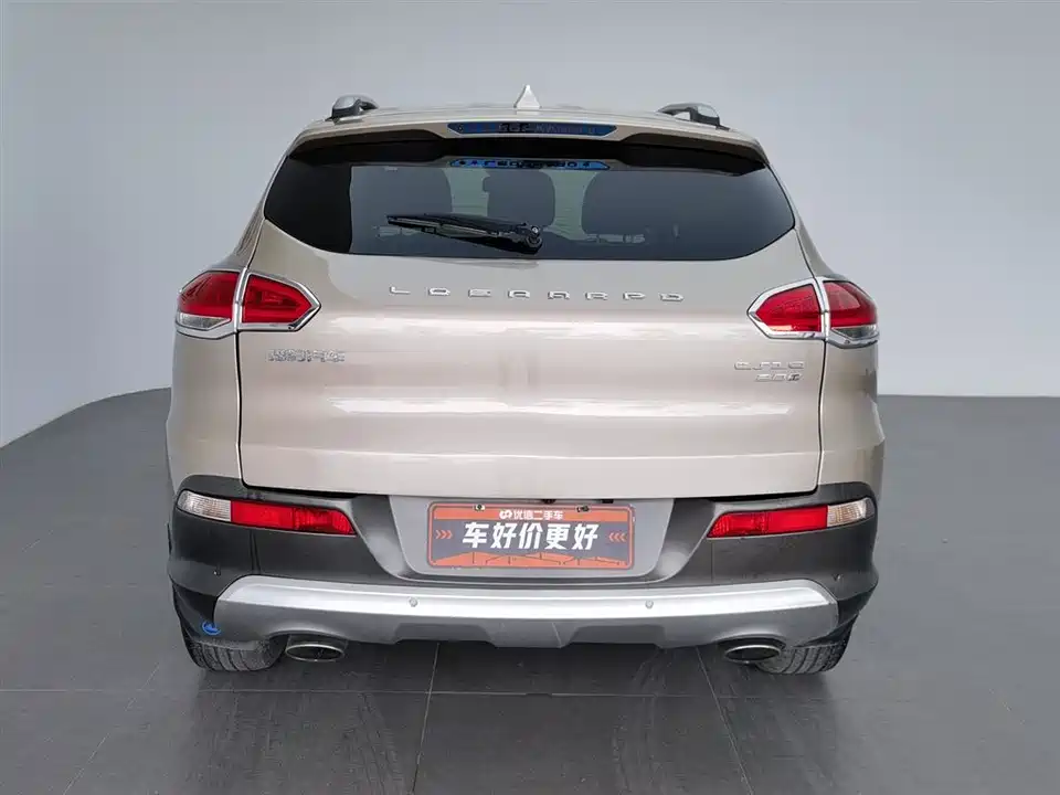 Leopaard Cheetah CS10