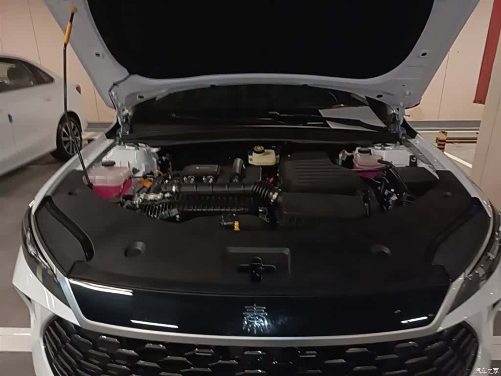 BYD Qin, 2026 20