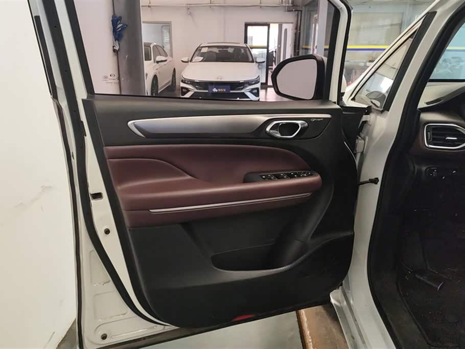 Trumpchi Trumpchi M6