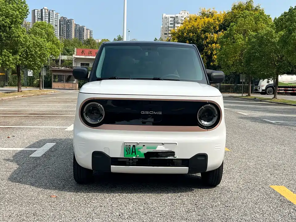Geely Galaxy panda