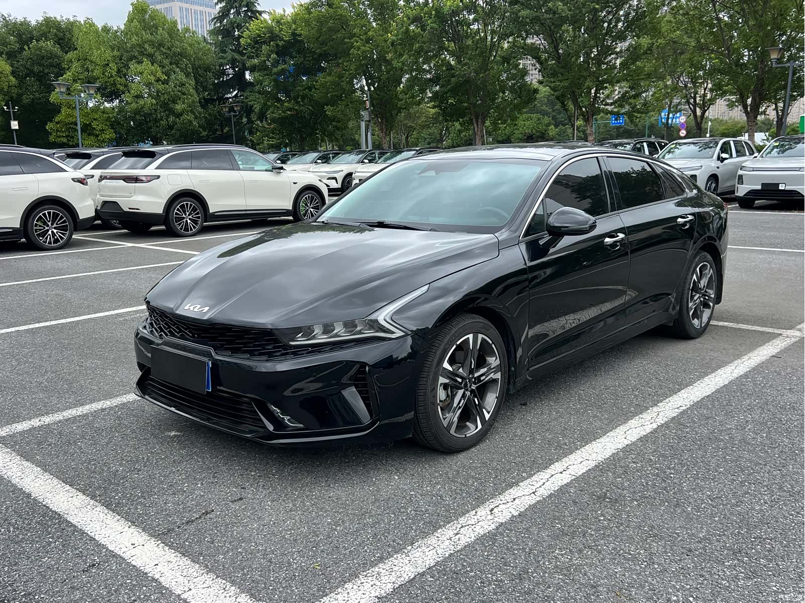Kia K5, 2024 1