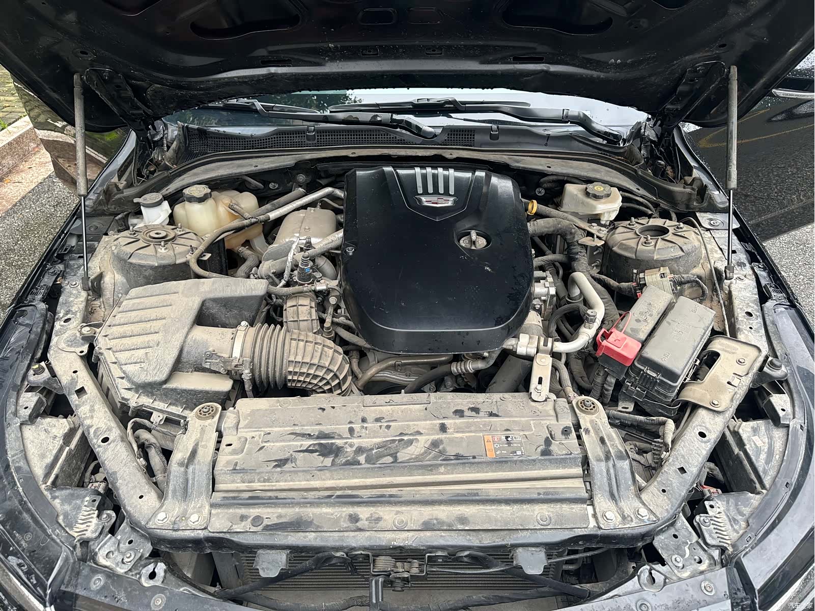 Cadillac CT4, 2023 10
