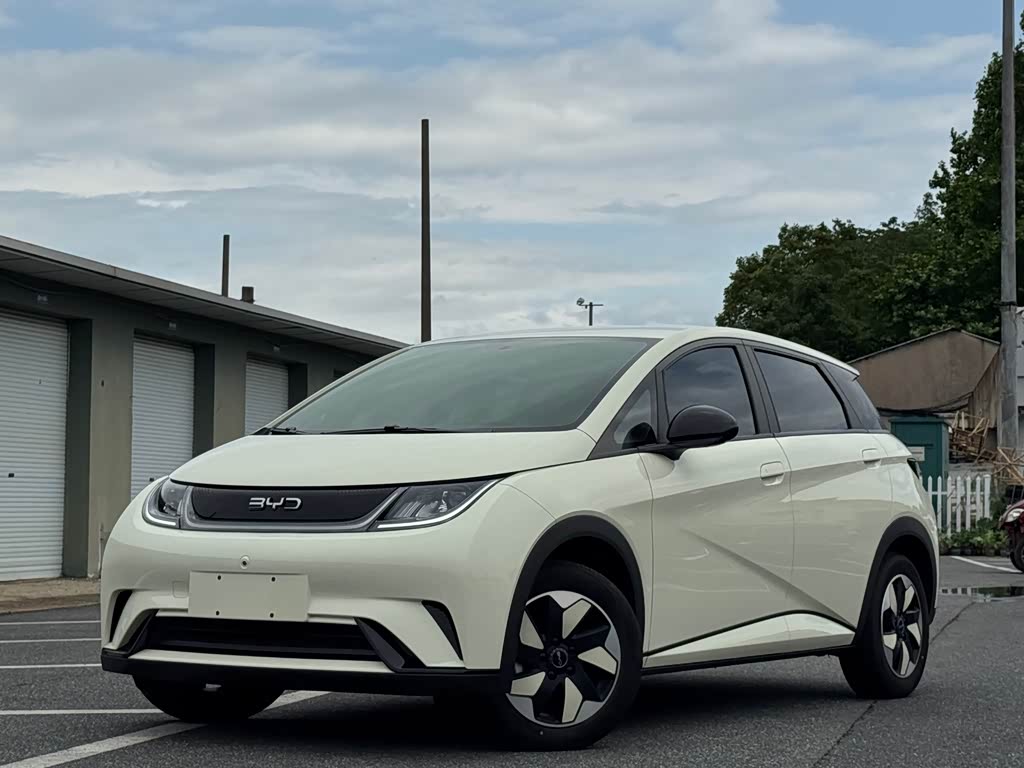BYD Dolphin