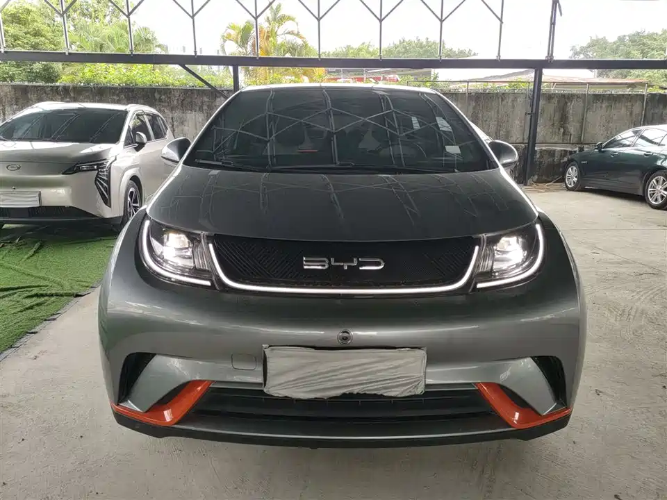 BYD dolphin