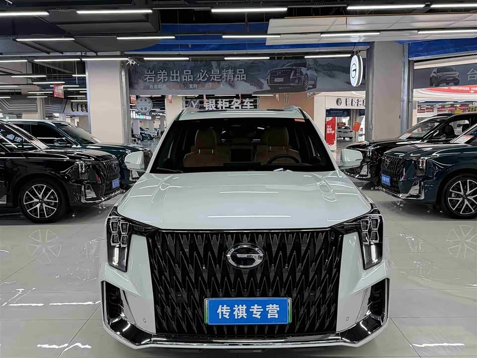 Trumpchi Trumpchi ES9
