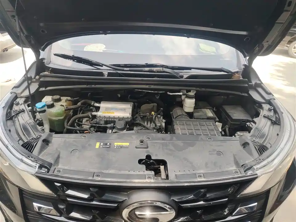 Trumpchi Trumpchi M6