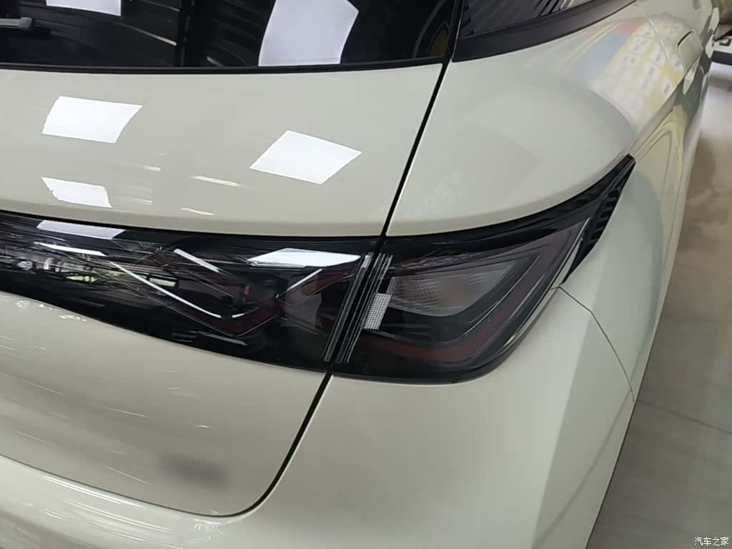 BYD Dolphin, 2024 8