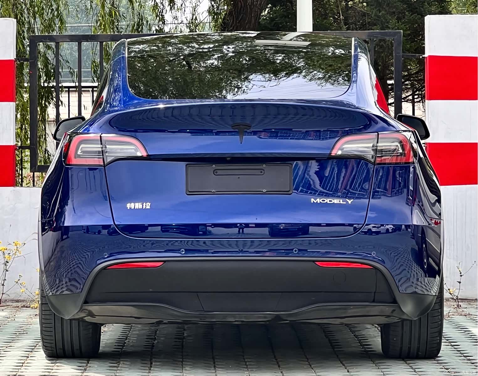 Tesla Model Y, 2022 все фото