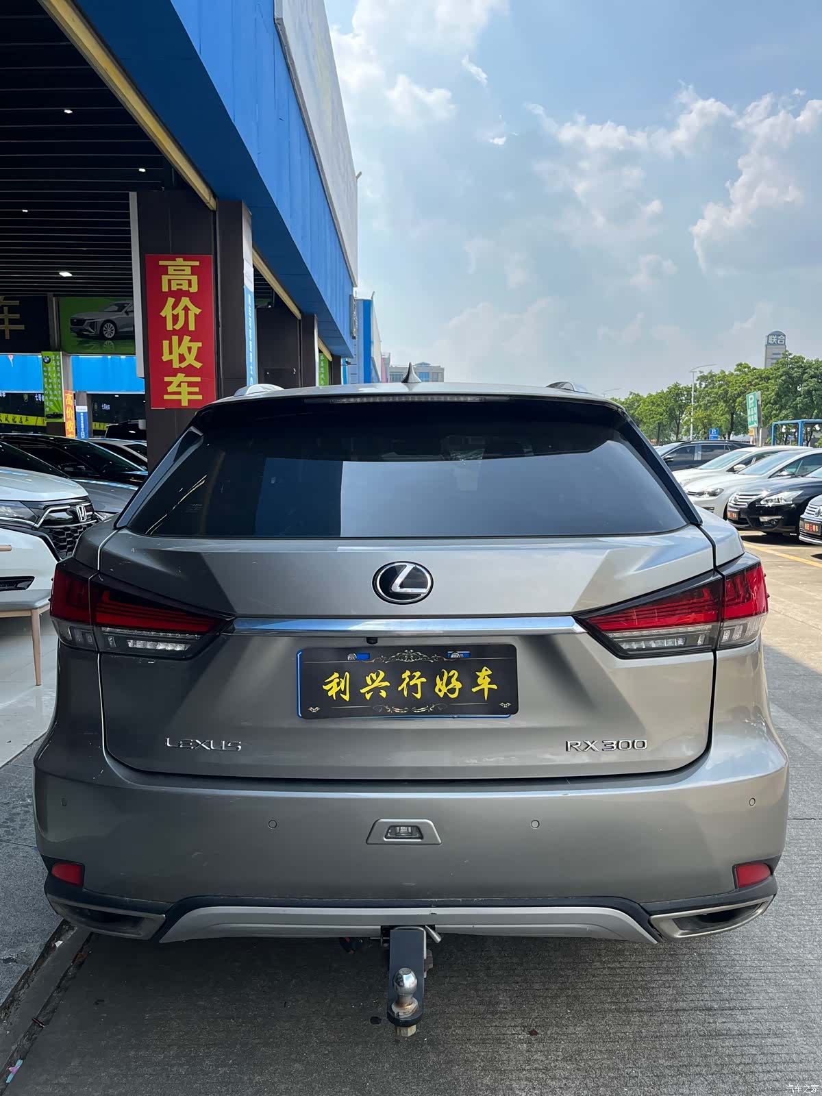 Lexus RX, 2020 4