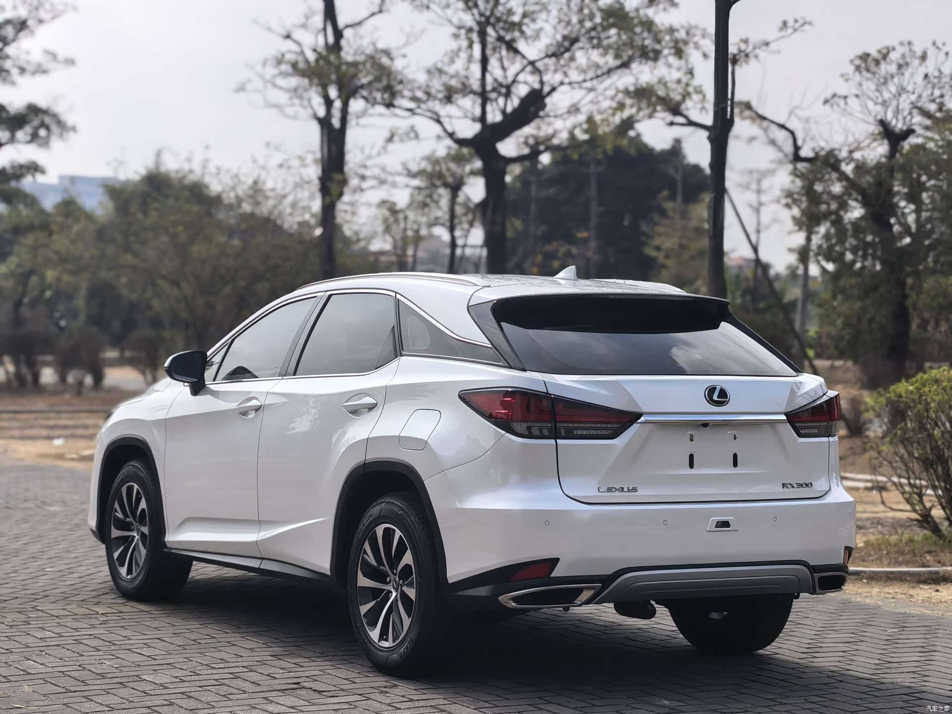 Lexus RX, 2019 6