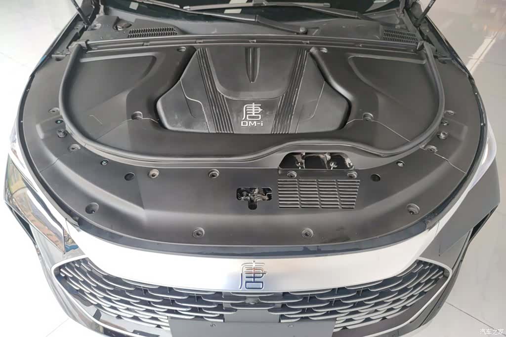 BYD Tang, 2024 10