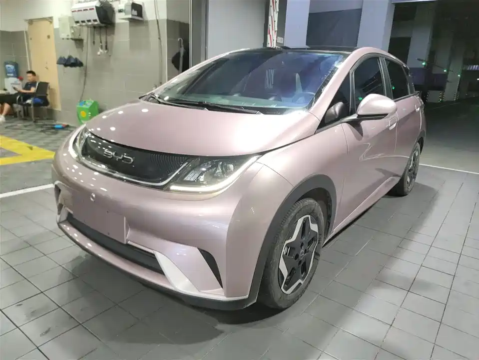 BYD dolphin