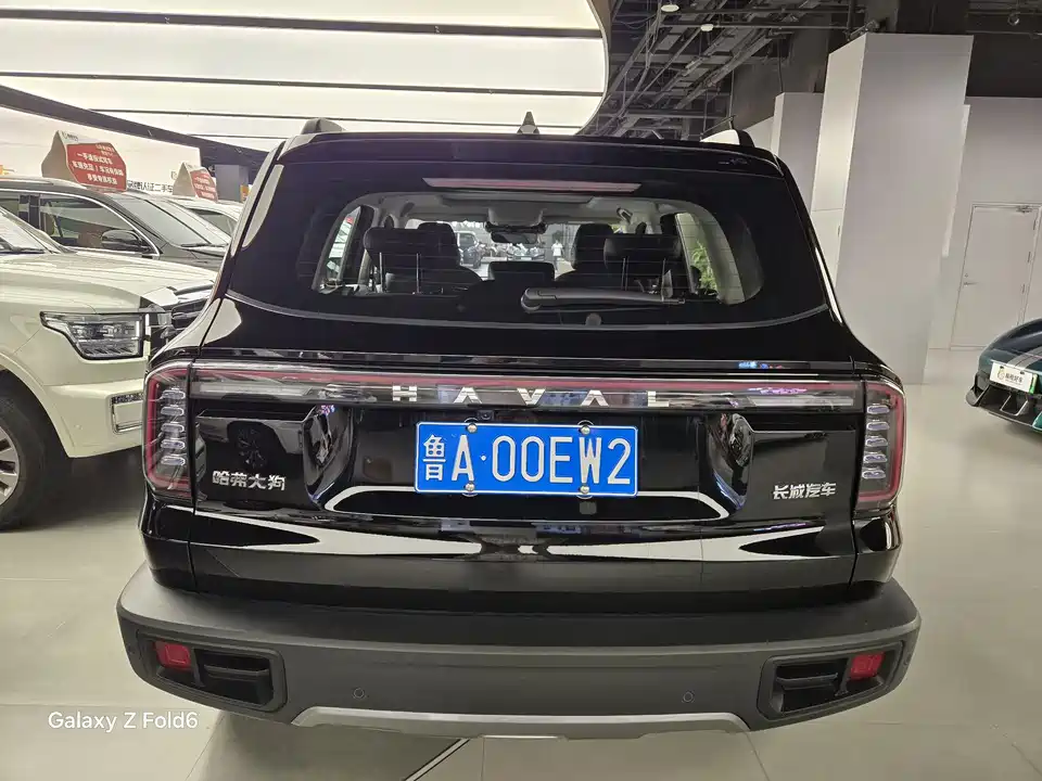 Haval Big dog