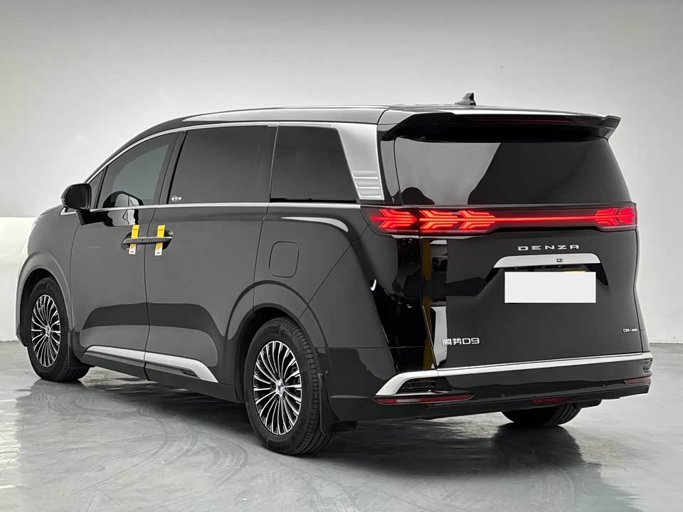 Denza D9