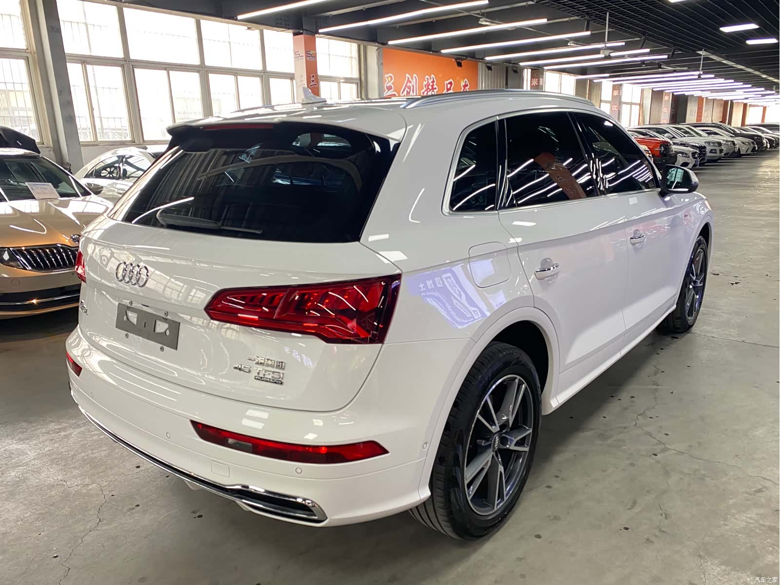 Audi Q5L, 2020 все фото