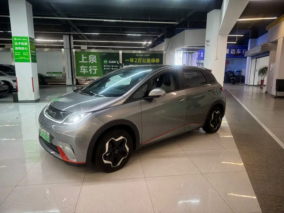 BYD dolphin