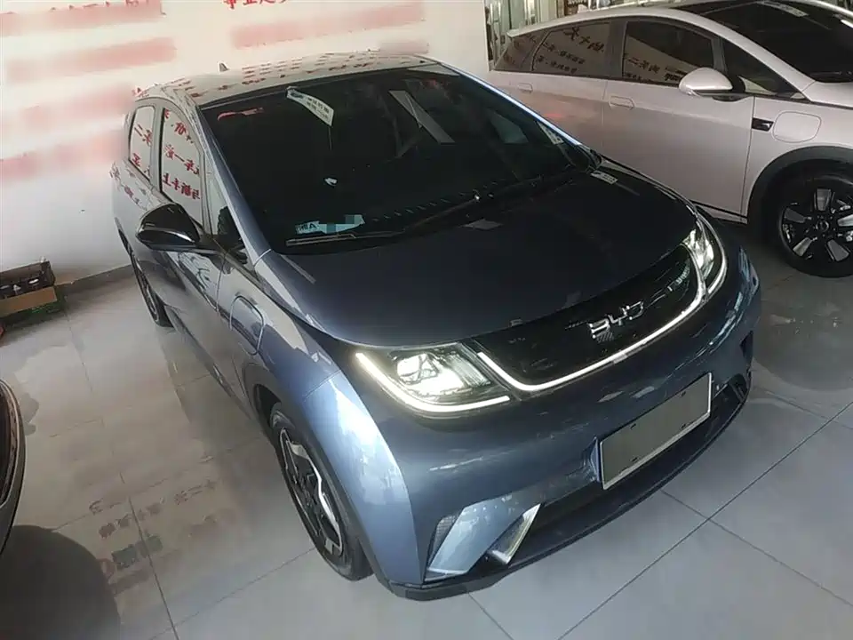 BYD dolphin