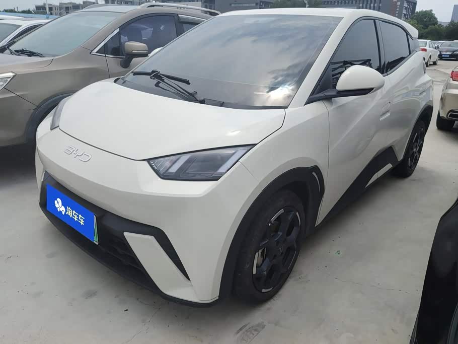 BYD Seagull