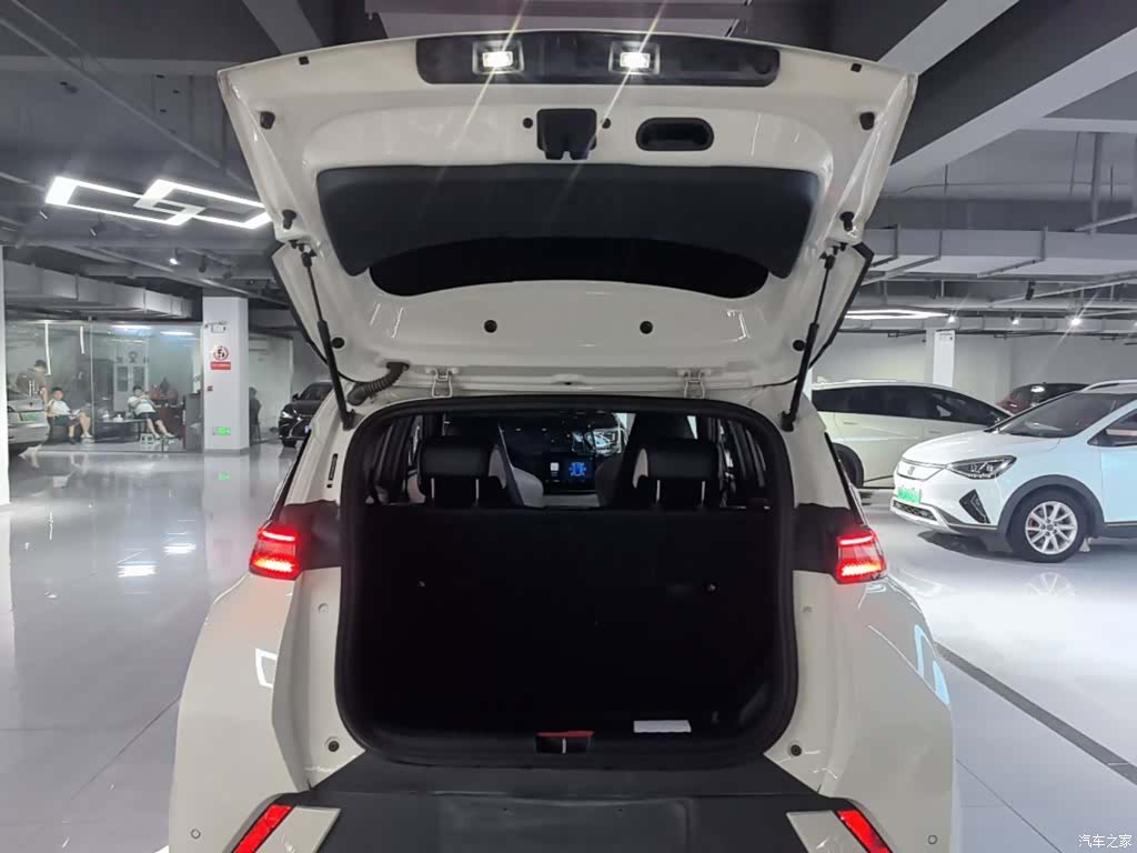 BYD Seagull, 2023 19