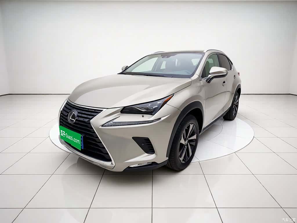 Lexus NX, 2021 1