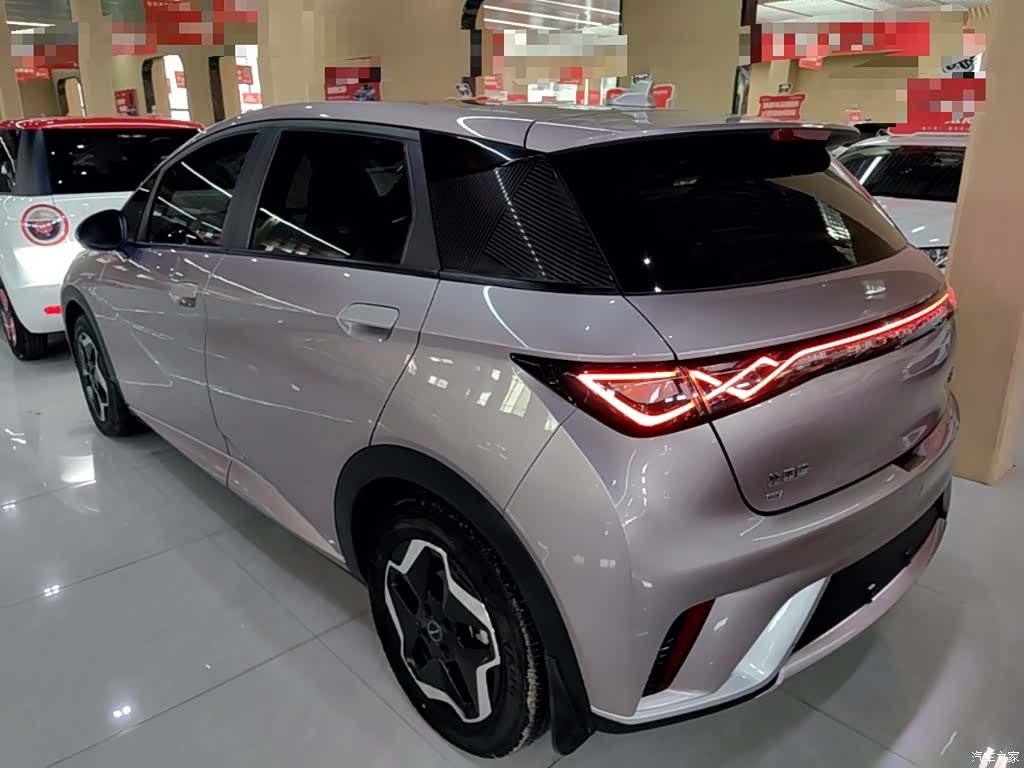 BYD Dolphin, 2023 все фото