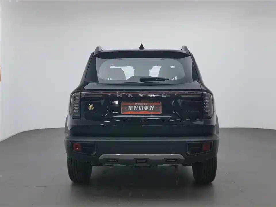 Haval Big dog