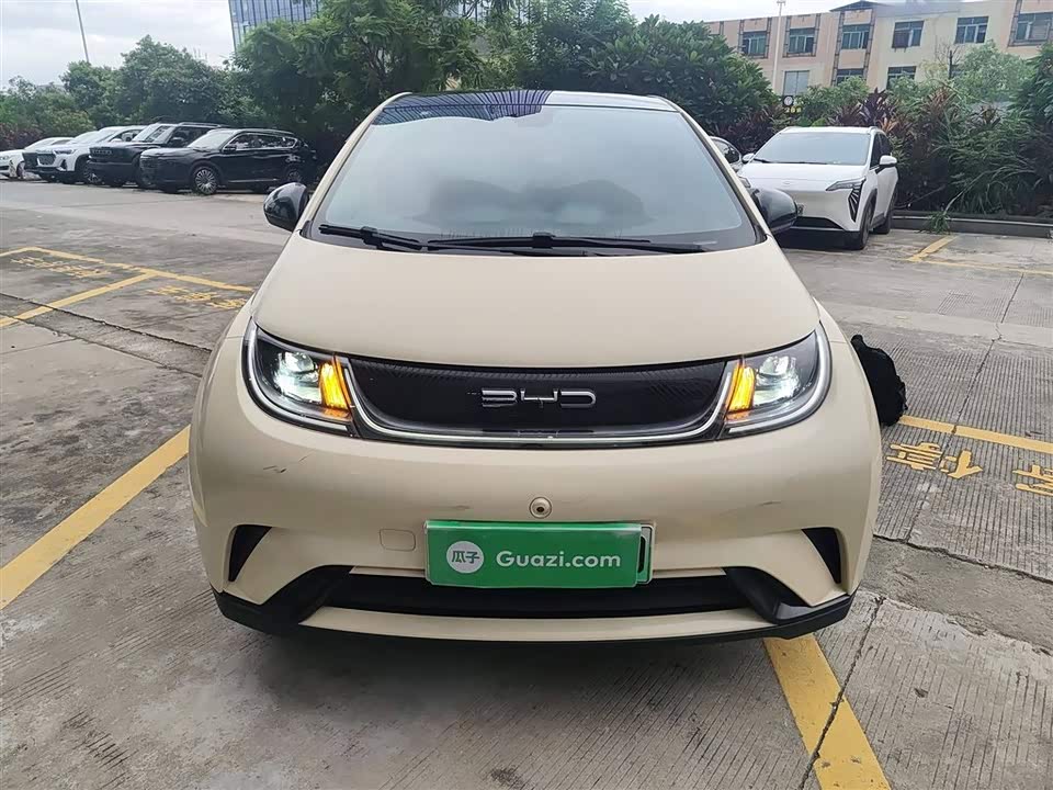 BYD dolphin