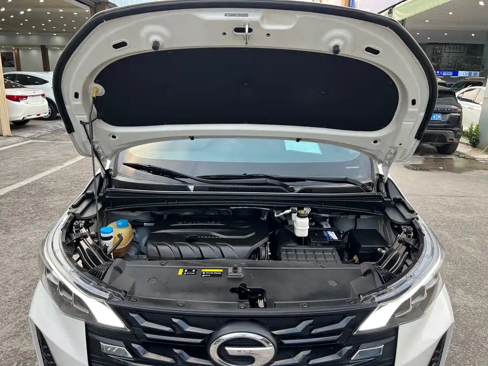 Trumpchi Trumpchi M6