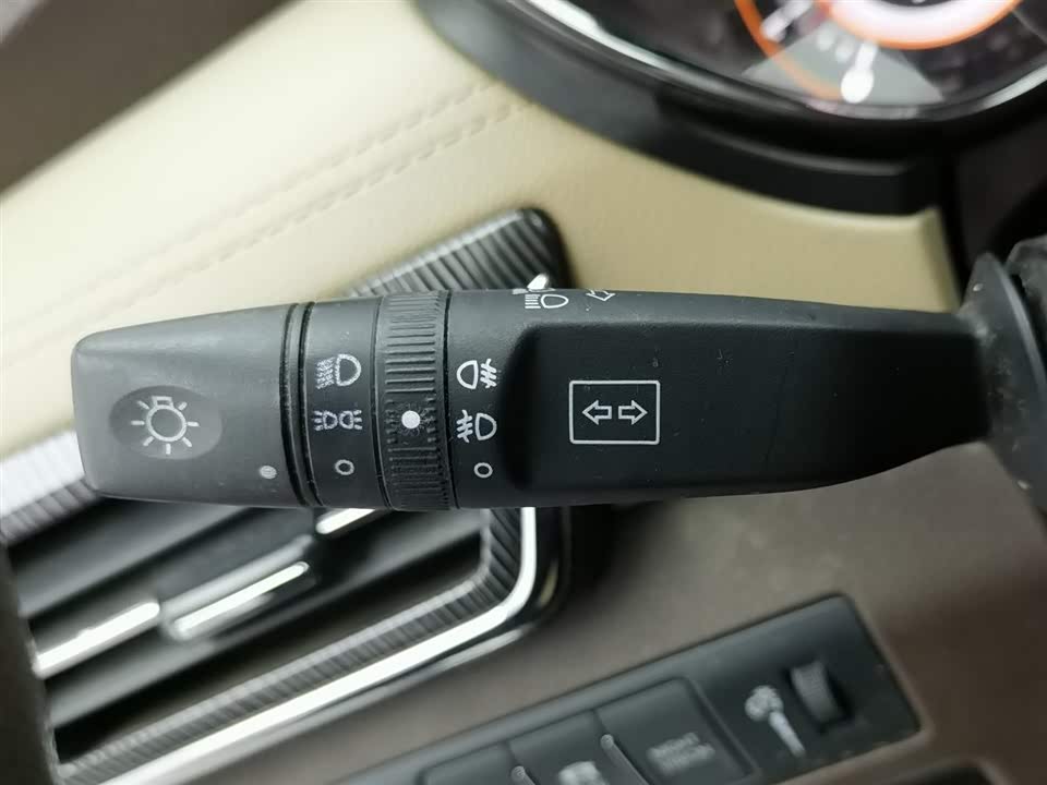 Leopaard Cheetah CS9