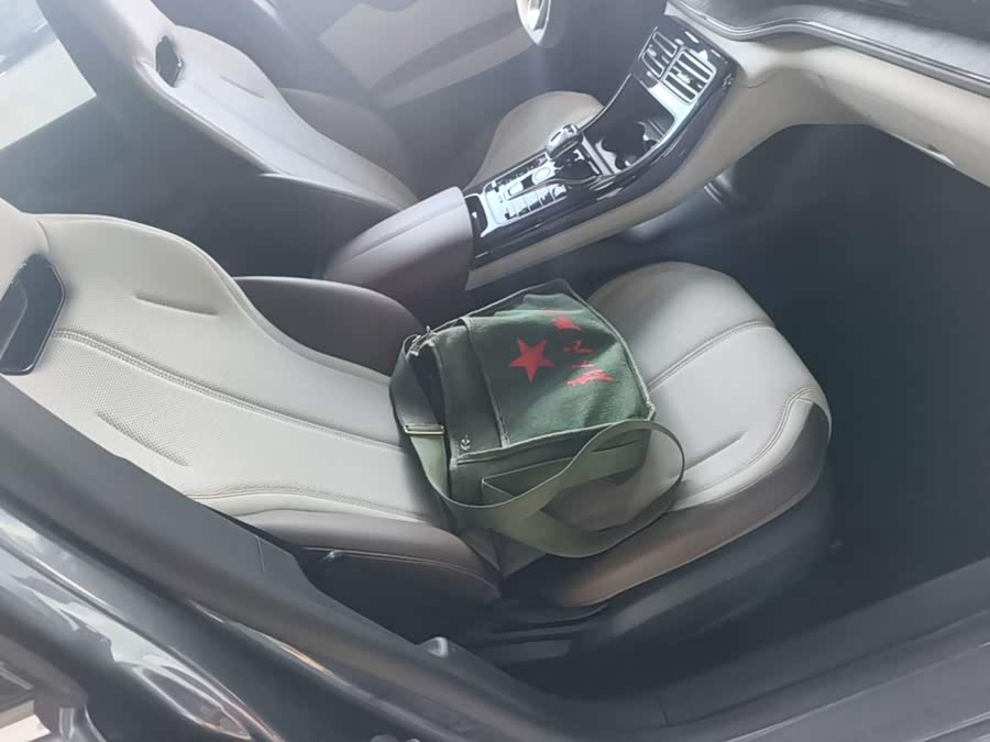 BYD Qin PLUS 2024, фото 25