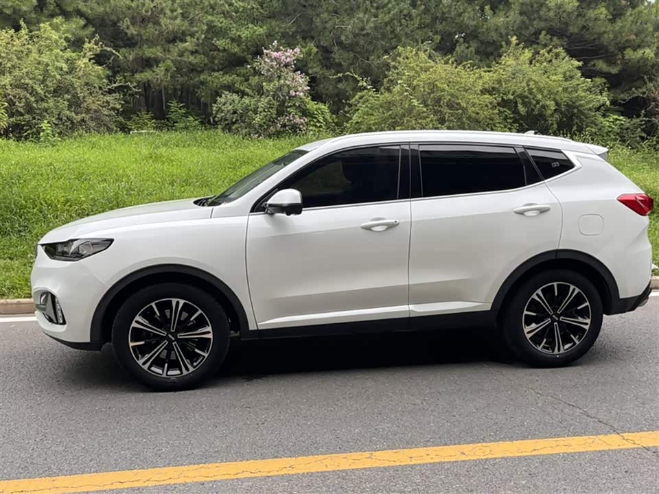 Weipai VV6