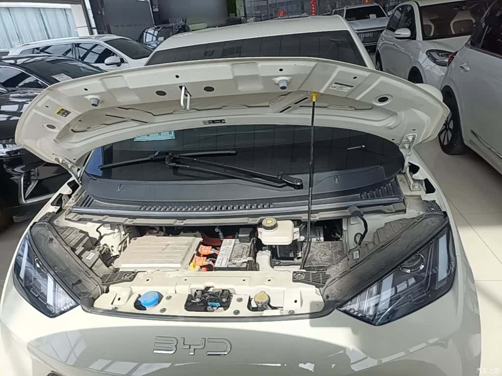 BYD Seagull, 2024 20