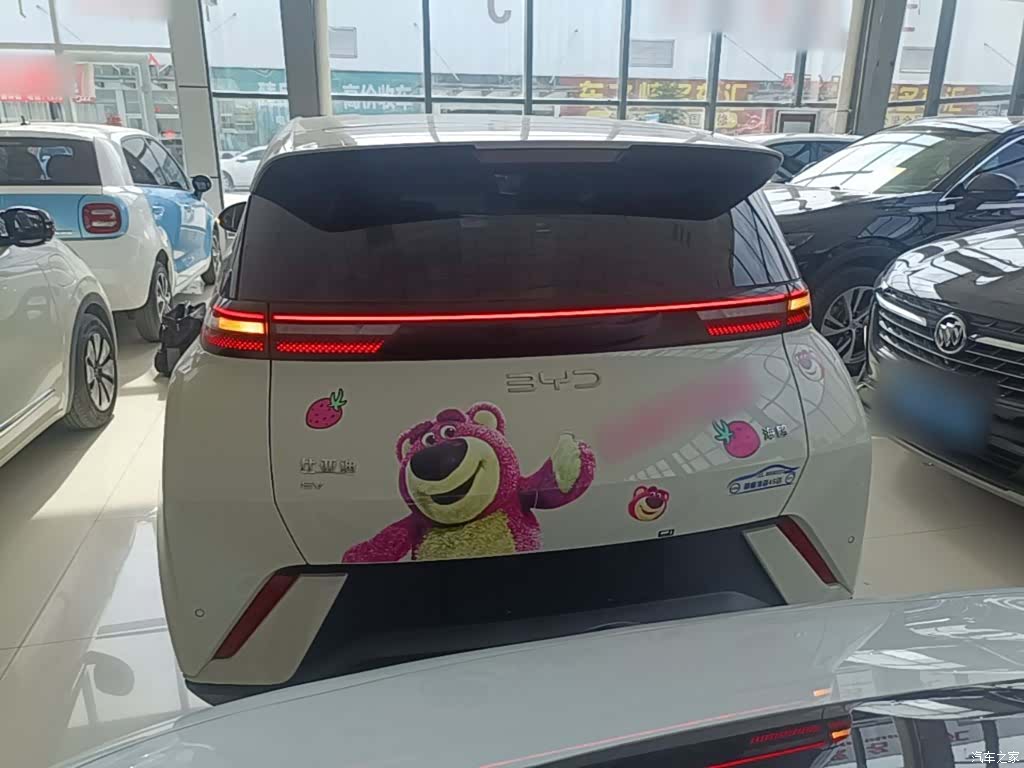 BYD Seagull, 2024 6