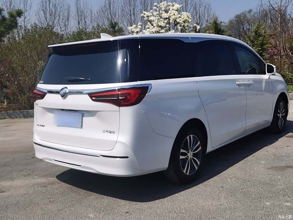 Buick GL8, 2021 24