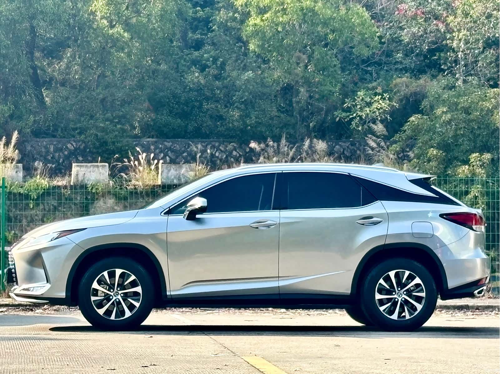 Lexus RX, 2022 4