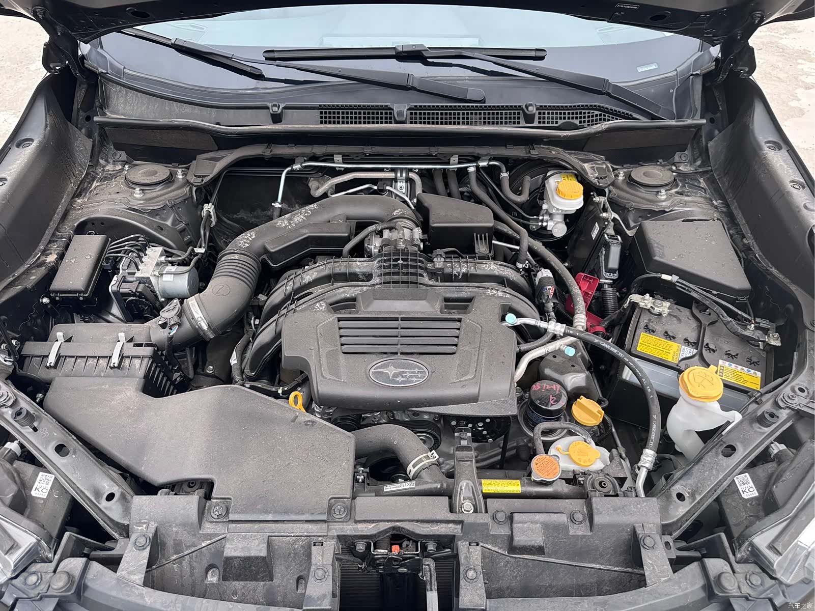 Subaru Forester, 2022 10