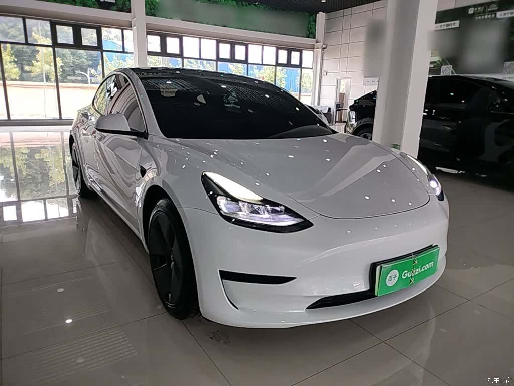 Tesla Model 3, 2021 4