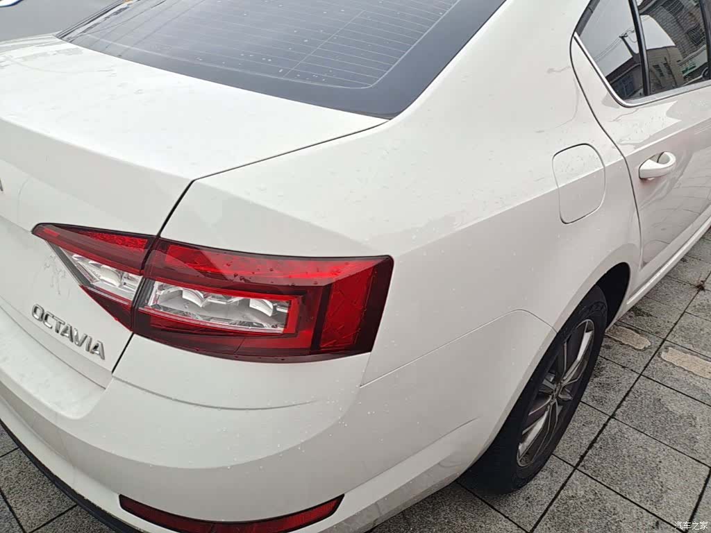 Skoda Octavia, 2022 8