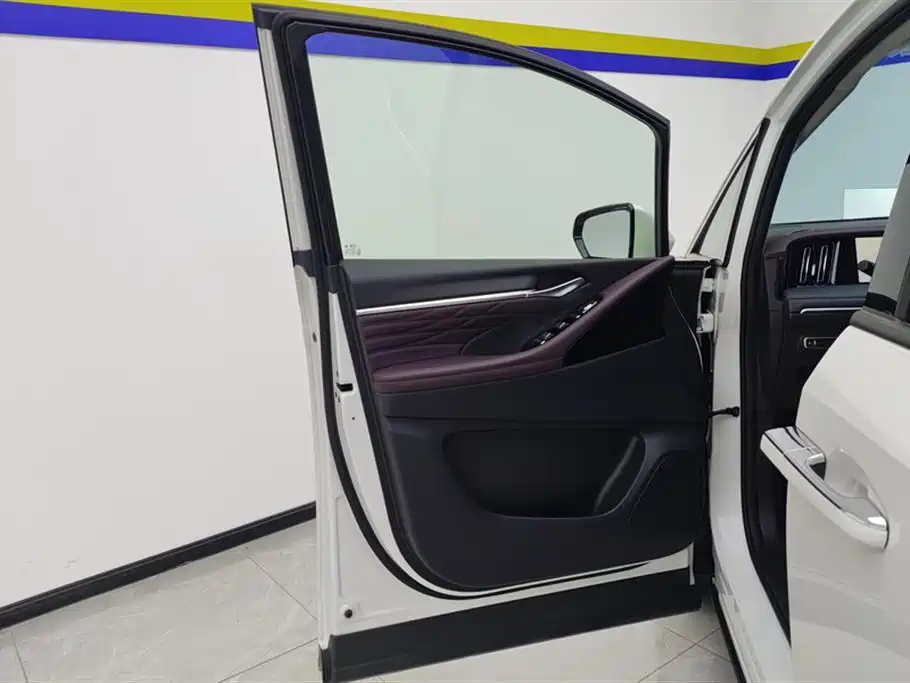 Trumpchi Trumpchi M8