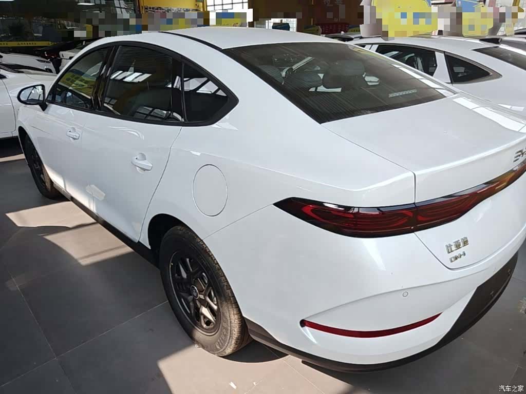 BYD Qin, 2025 все фото