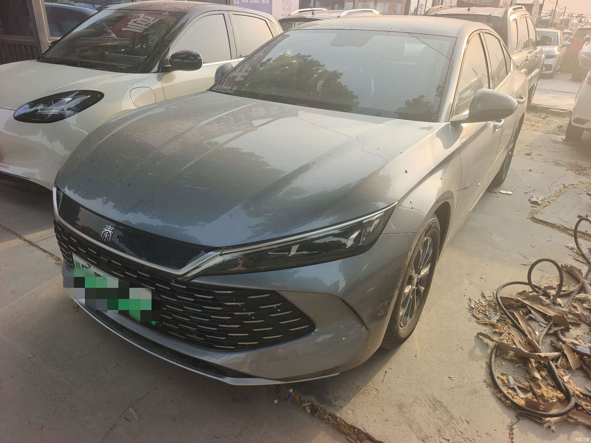 BYD Qin, 2025 1