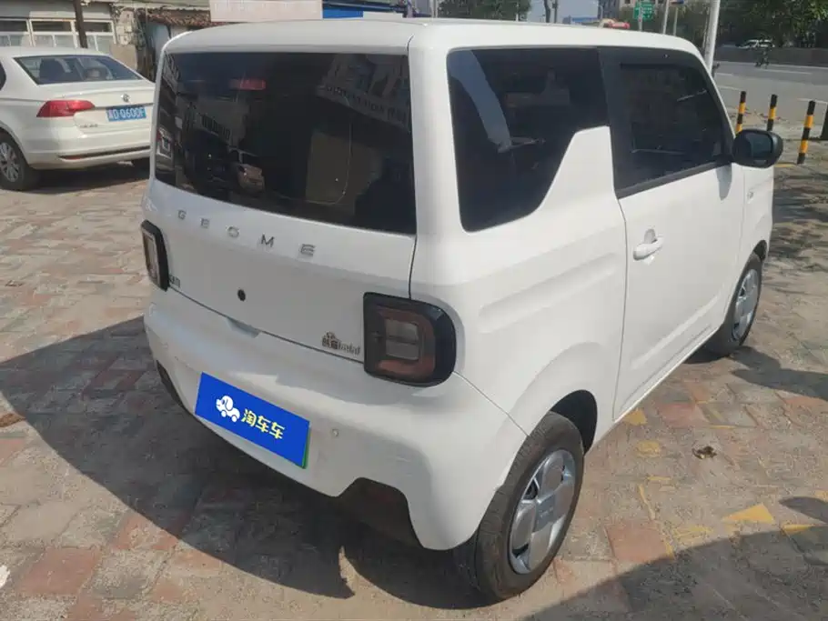 Geely Galaxy panda