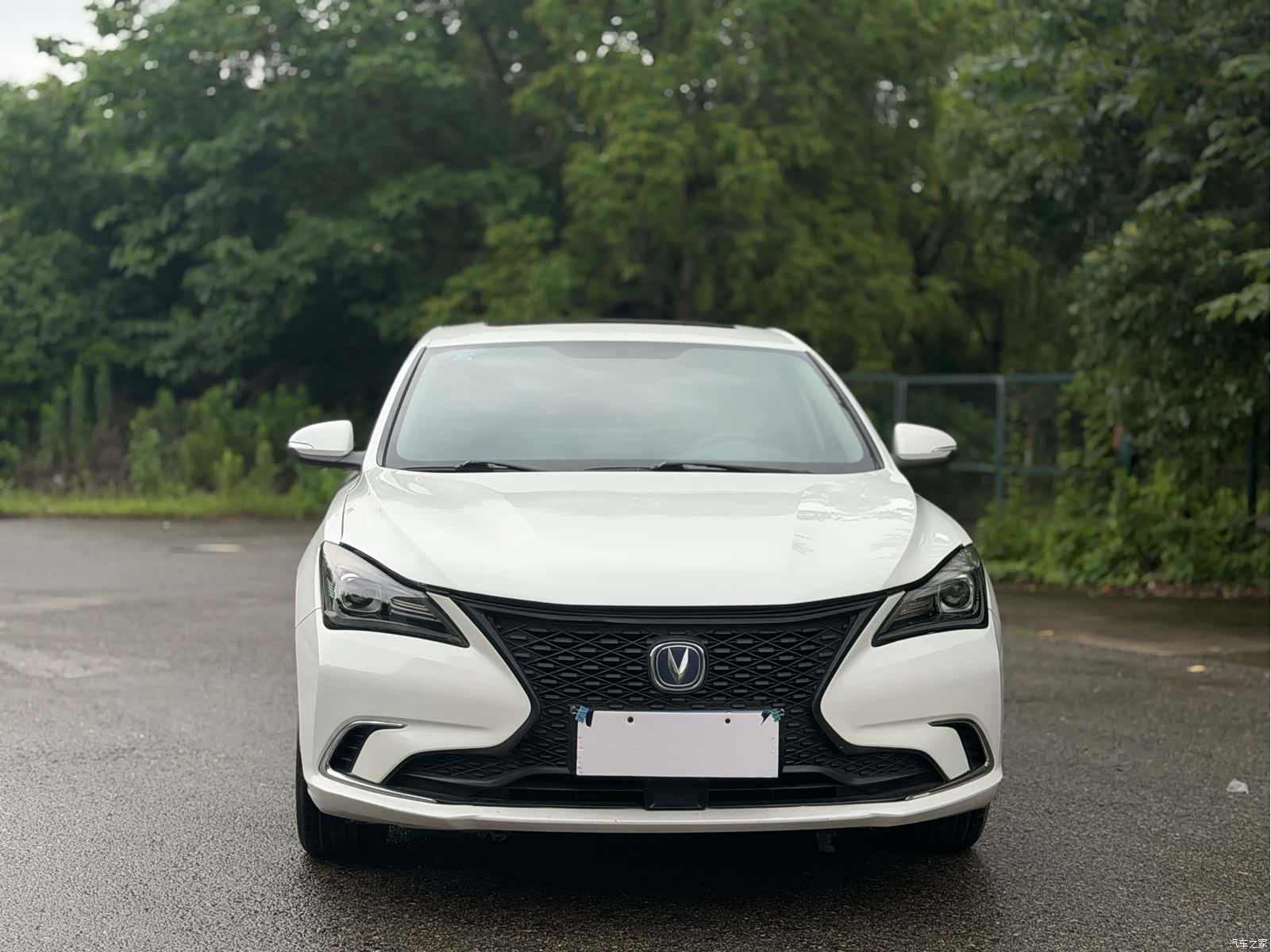 Changan Eado, 2020 2