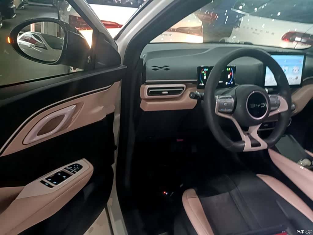 BYD Seagull, 2024 12