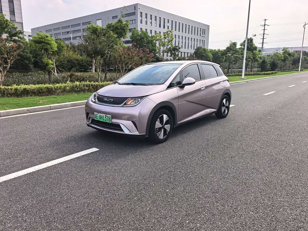 BYD Dolphin