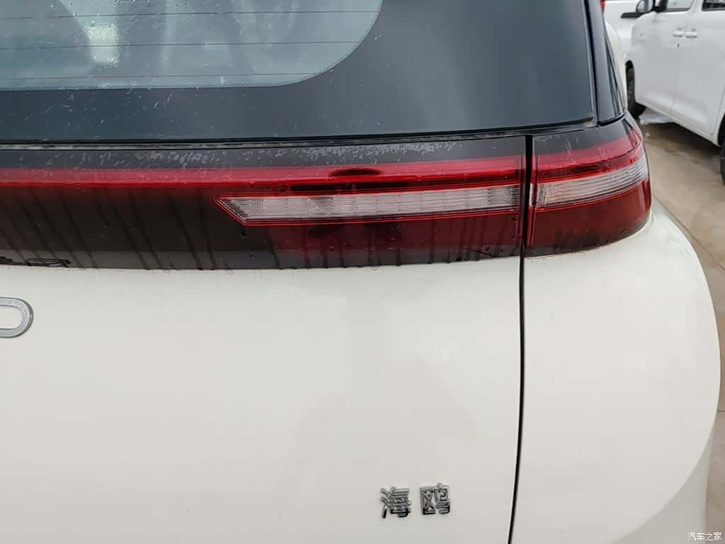 BYD Seagull, 2026 8