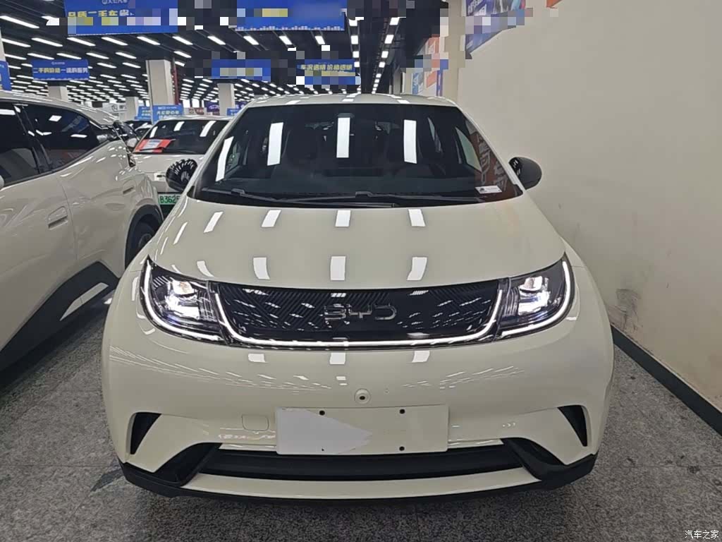 BYD Dolphin, 2024 3