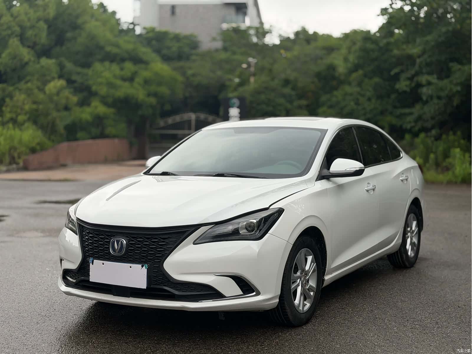 Changan Eado, 2020 1