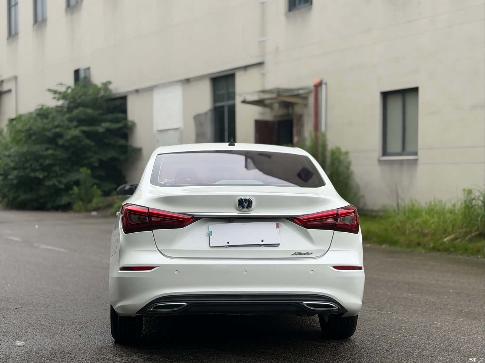 Changan Eado, 2020 все фото