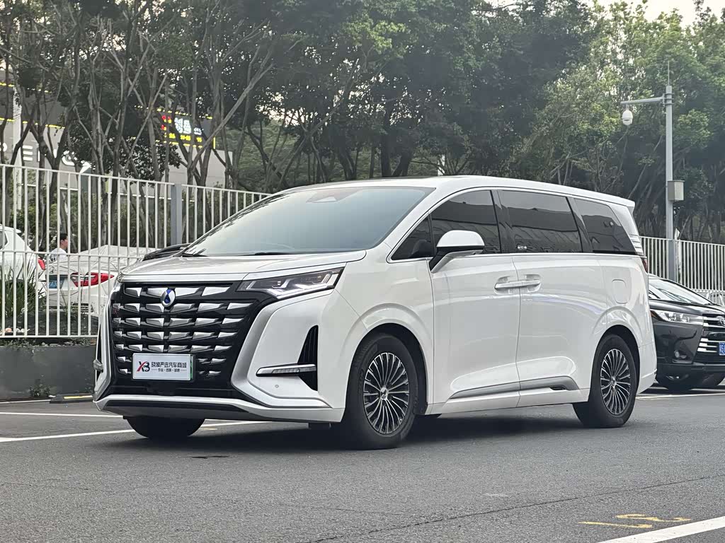 Denza D9